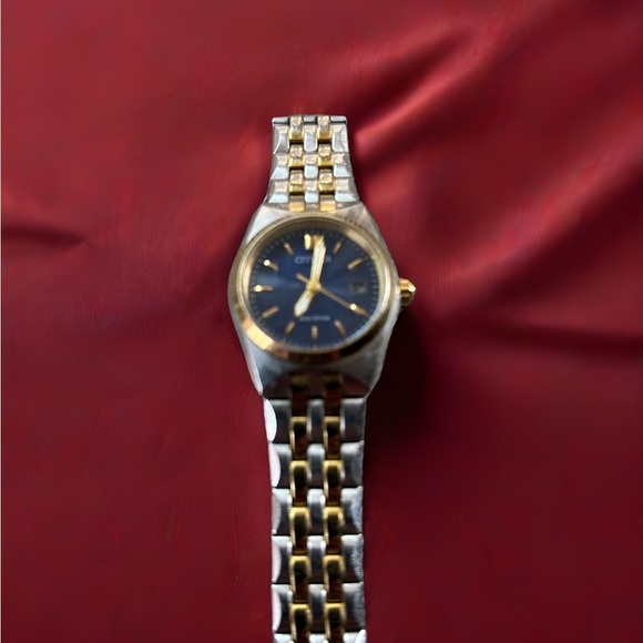 Citizen Gold and Silver Watch with Dark Dial - Picture 1 of 4
